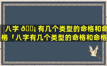 八字 🐡 有几个类型的命格和命格「八字有几个类型的命格和命格的区别」